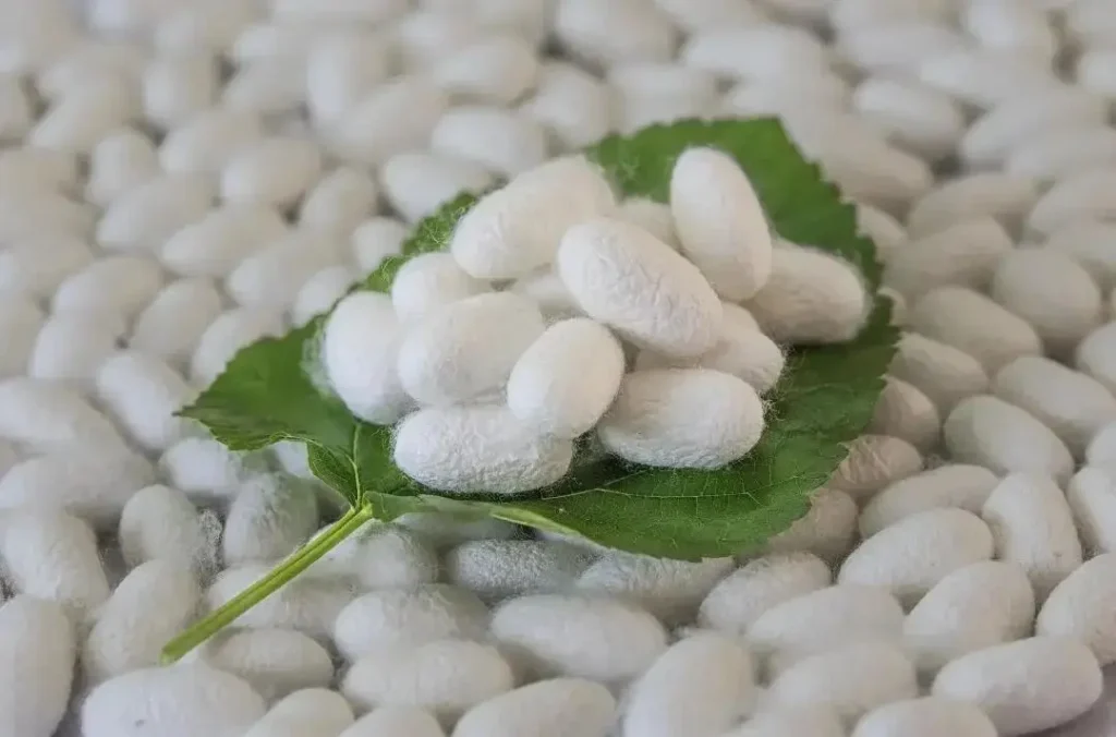 Why Mulberry Silk is the Gold Standard in Silk Fabrics 8 193bb763cacb4584bdad2316d2f0176f