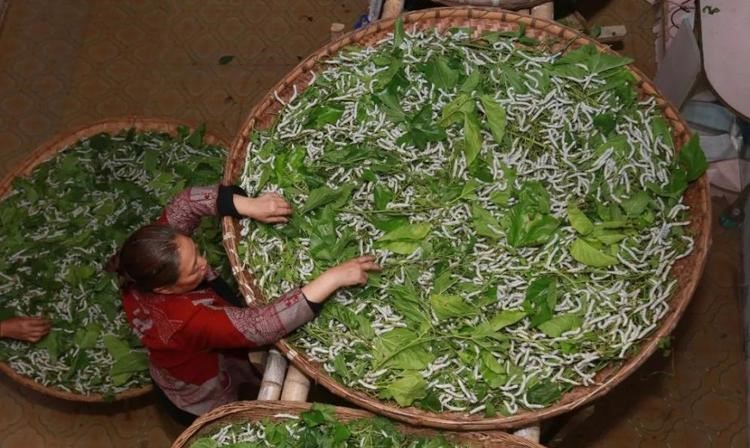 u9294597771298148504fm253app138fJPEG