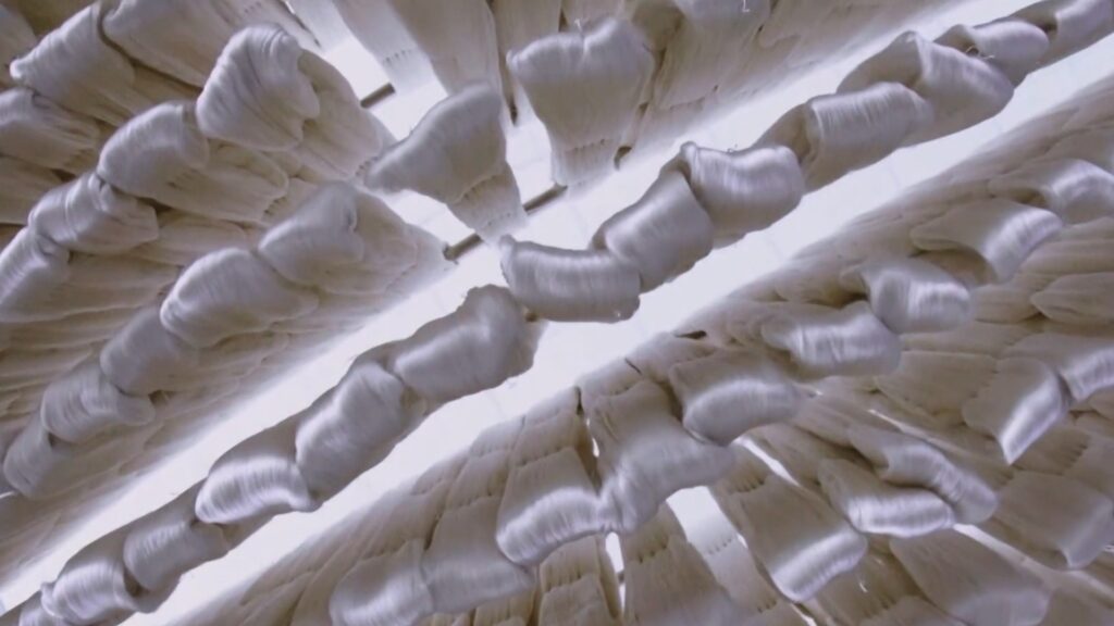 丝绸.无标无字幕.mp4 20250704 120652.713